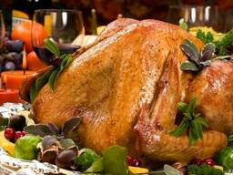 Домашний бройлер