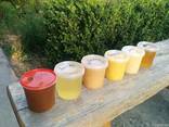 Домашній мед з акації, липи, гречки, травневий, різнотравя - фото 1