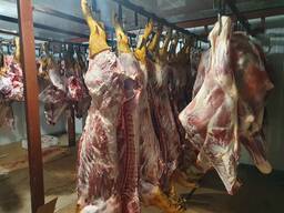 Домашняя свинина