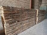 Дошку дубову необрізну 1-3сорт - фото 5