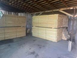 Смерека, Ялина, Сосна