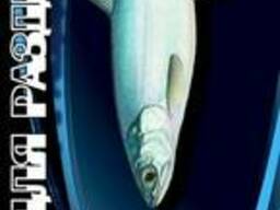 Доска для рыбы с зажимом для хвоста (длина 58 см. )