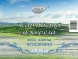Доставка питьевой воды в бутлях 18,9л - фото 2