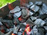 Древесный уголь из дуба, ясеня (доставка по Украине) - фото 5