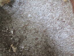 Дробь колота чавунна 7 тон