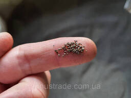 Стальная дробь