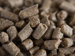 Дробина пивна гранульована купити | 27% протеїну | корм для ВРХ, свиней, птиці | біг-бег