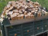 Дрова - фото 2