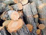 Дрова - фото 1