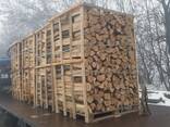 Дрова Дуб Ясень Граб Акація рубані на піддонах 1піддон=5000грн - фото 1