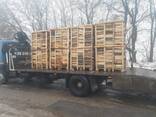 Дрова Дуб Ясень Граб Акація рубані на піддонах 1піддон=5000грн - фото 2