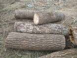 Дрова : из дуба , березы , ольха метровки . Продаем по Украине