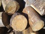 Дрова колоті дубові, соснові. 35-40 см довжина. Дрова Харків та область. - фото 1