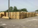 Дрова дубовые колотые на экспорт в Израиль из Украины - фото 1