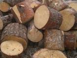 Дрова твердых, мягких пород. Доставка прицепом Кременчуг - фото 2