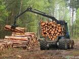 Дрова оптом - фото 1