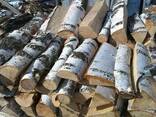 Дрова сосна колоті сухі Нова - Басань Чернігівська область - фото 3