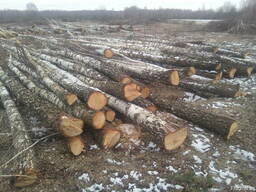 Дрова топливные