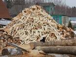 Дрова твердих порід - фото 1