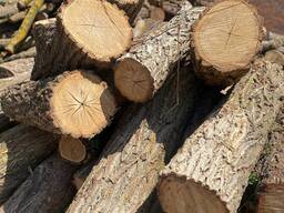 Дрова твердих порід без передоплати Дніпро, Одеса, Миколаїв, Херсон