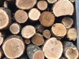 Дрова твердых пород в Николаеве - фото 1