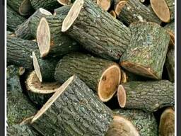 Дрова твердих порід