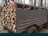 Дрова твердих порід - фото 1