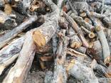 Дрова яблони, фруктовых пород, чурками от 50 до 100 см. диаметр от 12см. - фото 1