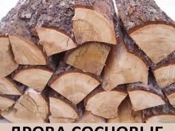 Сосновые дрова. Сосна колотые дрова. Доставка дров: сосна, берёза, ольха, дуб, граб.
