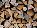 Дубовые колотые дрова. Доставка дров: дуб, граб, ольха, береза, сосна, осина.
