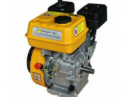 Двигатель бензиновый Forte F210GS-20