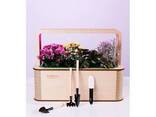EcoBloom Розумний набір для вирощування Bluetooth - фото 7