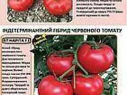 Ефекан F1 Новий гібрид червоного низькорослого томату 500 семян. BT Tohum