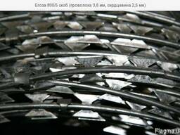 Егоза 800/5 скоб (пров.3,6 мм, сердцевина 2,5 мм). Купить