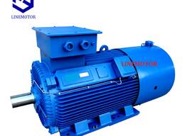 Электродвигатель LMLV450-1-4, 630 кВт/1500 об, 380В, 660В, 5-50Гц
