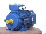 Электродвигатель трехфазный 0.75 квт 3000 об/мин АИР 71 А2 - фото 2
