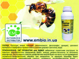 ЕМ пробіотик для бджіл