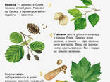 Детская энциклопедия про лес для дошкольников. Ranok Creative (614016) - фото 2