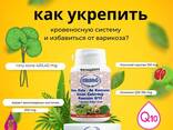 Ерсаг 2023 Готу Кола варикоз, пам'ять, інфаркт, алергія нерви, вага геморой - фото 3