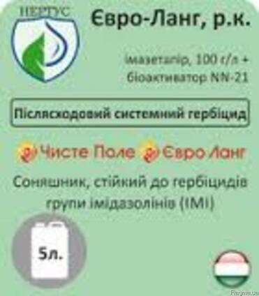 Евро-ланг