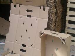 Евротара картонные ящики для винограда помидорки евро тара