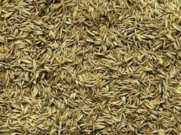 Ежа (Грястица)