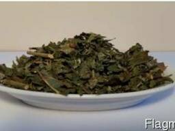 Ежевика лист