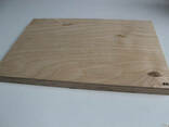 Фанераиз березы, Exterior Birch Plywood - фото 2