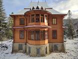 Фарбування Реставрація дерев'яних будинків - фото 12
