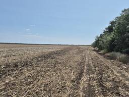 Фасадна ділянка 3,42 га на трасу М05(Е95)