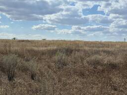 Фасадна земельна ділянка 3,64 га на Об'їзній дорозі в районі Сухого Лиману, с. Прилиманськ