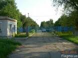 Ферма в комплексе с жилыми и производственными помещениями - фото 3