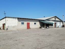 Ферма, помещения и территория в аренду. Под сельхоз нужды, склады, хранение