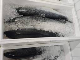 Філе лосося холодного копчення